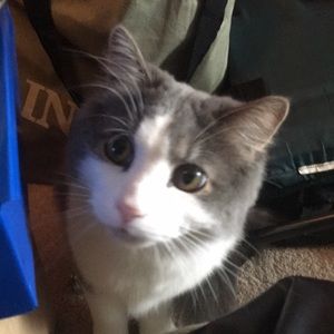 Meet your Posher, Jan